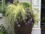  Containers - Planters