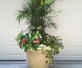 Cenac Landscape Containers - Planters 3