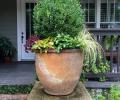 Cenac Landscape Containers - Planters 6