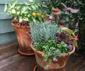 Cenac Landscape Containers - Planters 9