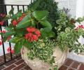 Cenac Landscape Containers - Planters 10